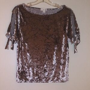 Luxurious Gray Crushed Velvet  looking top